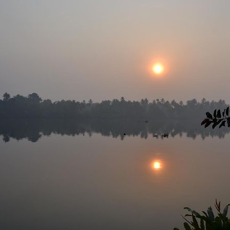 فندق Big Banana Island Retreat North Paravur المظهر الخارجي الصورة