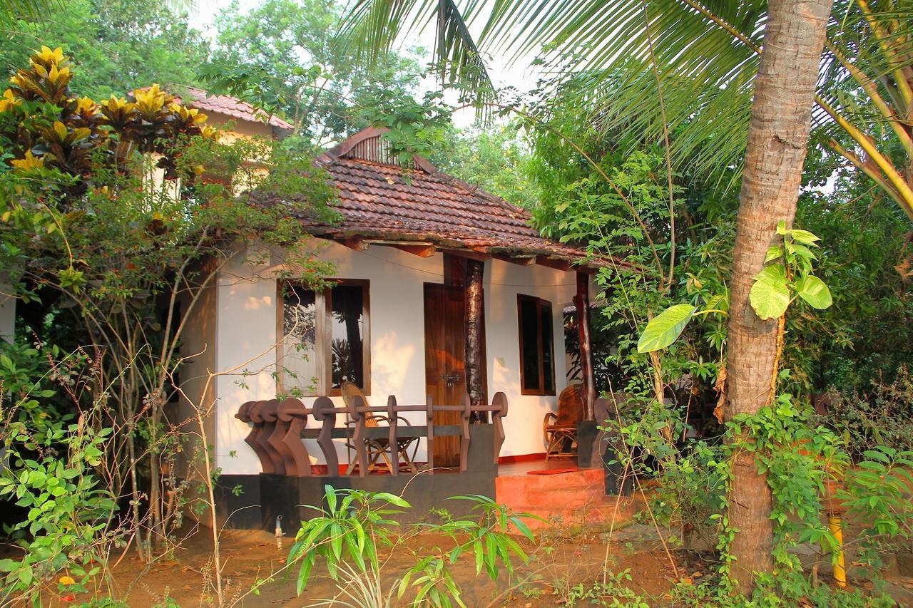 فندق Big Banana Island Retreat North Paravur المظهر الخارجي الصورة