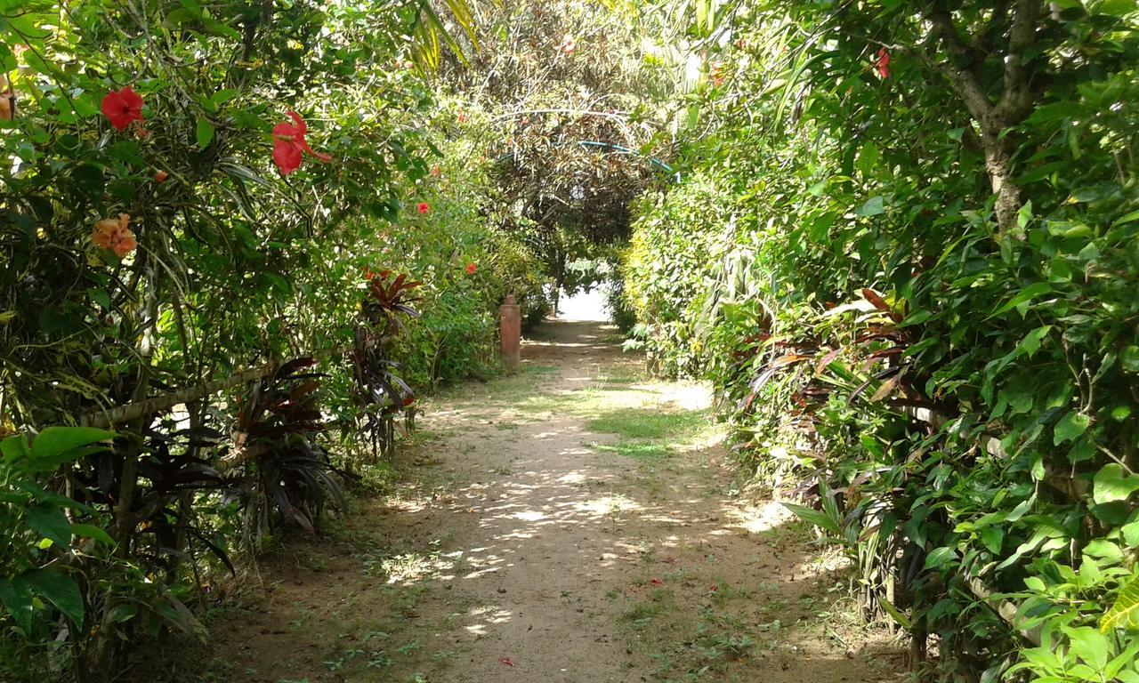 فندق Big Banana Island Retreat North Paravur المظهر الخارجي الصورة
