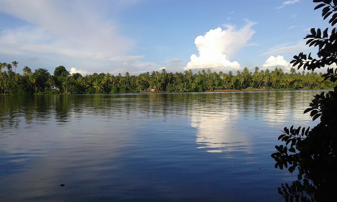 فندق Big Banana Island Retreat North Paravur المظهر الخارجي الصورة