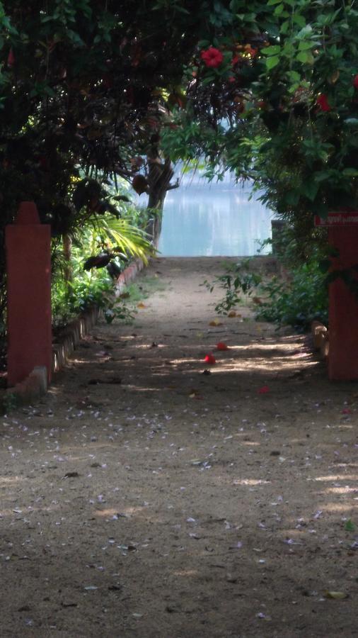 فندق Big Banana Island Retreat North Paravur المظهر الخارجي الصورة